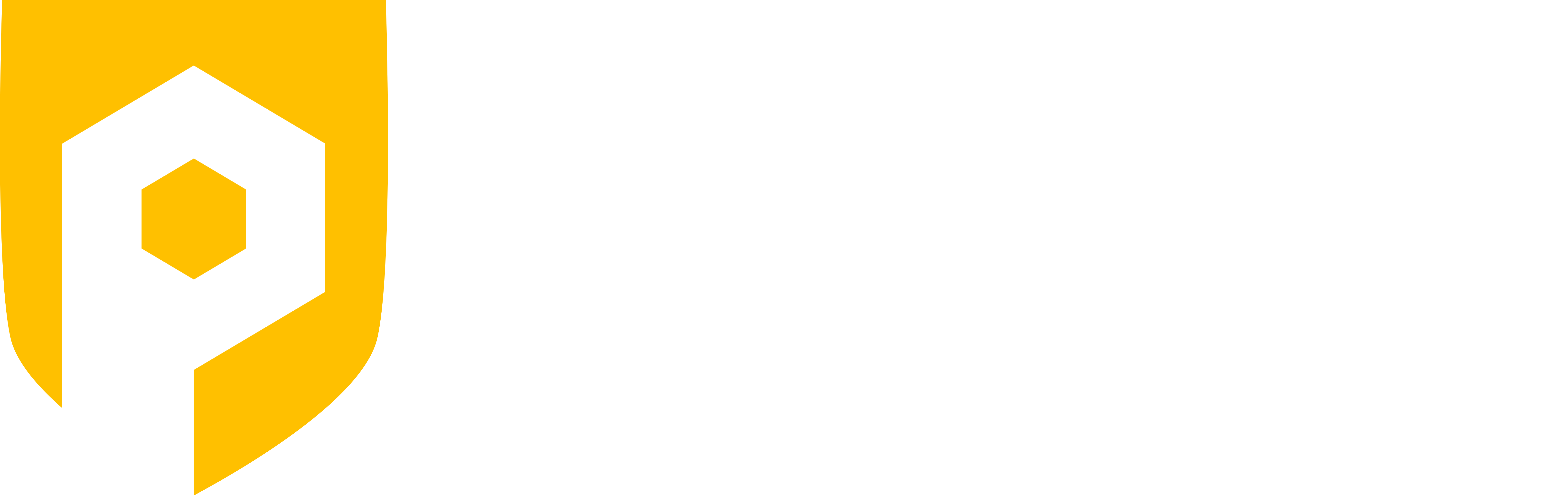 PletX Logo